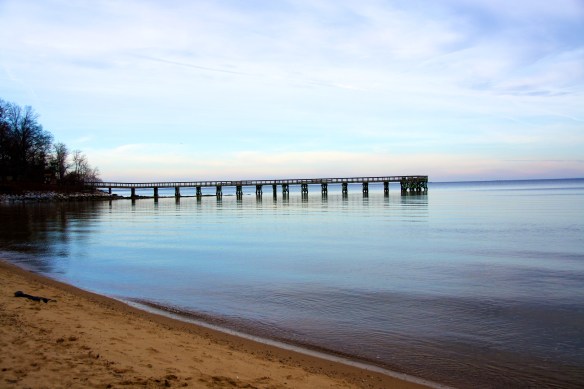 Lin and Michael's Photos