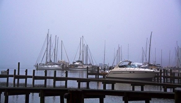 Lin and Michael's Photos