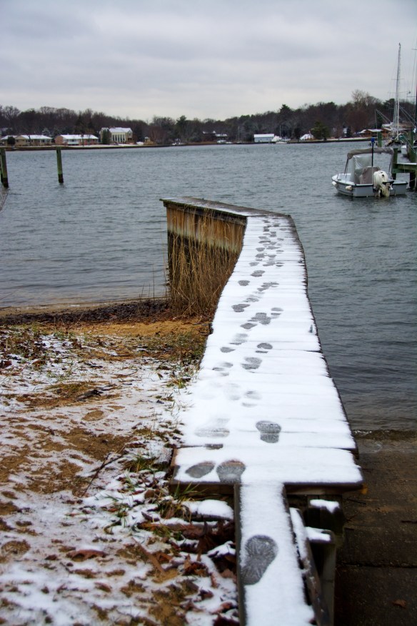 Lin and Michael's Photos