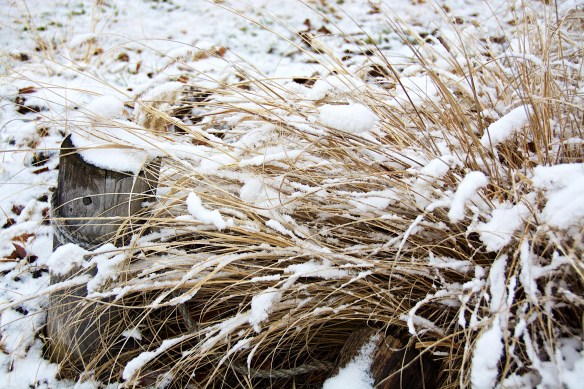 Lin and Michael's Photos