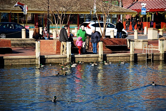 Lin and Michael's Photos