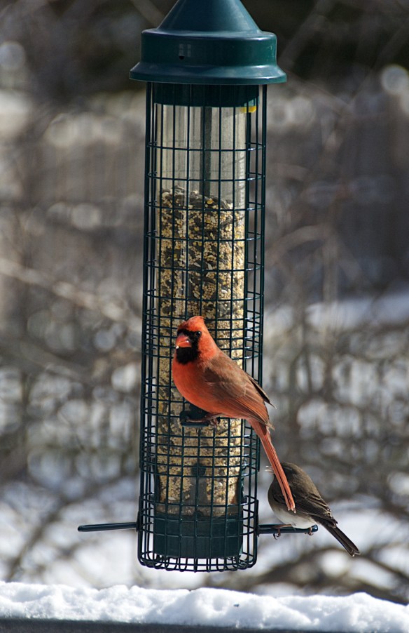 Lin and Michael's Photos