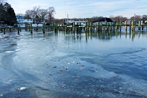 Lin and Michael's Photos