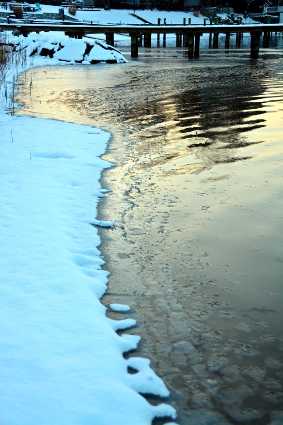 Lin and Michael's Photos