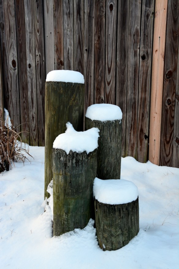 Lin and Michael's Photos