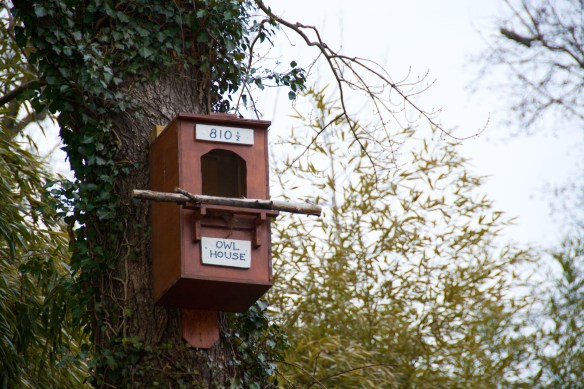 Lin and Michael's Photos