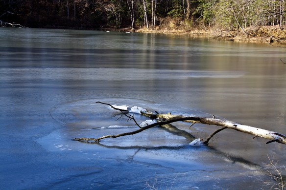 Lin and Michael's Photos