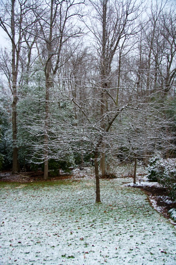 Lin and Michael's Photos