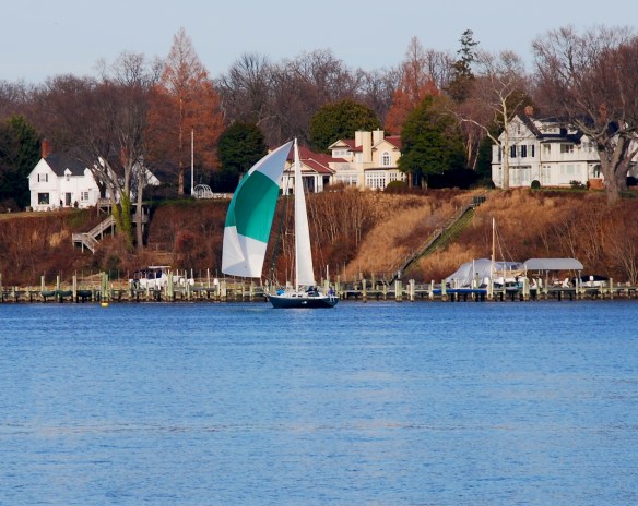 Lin and Michael's Photos