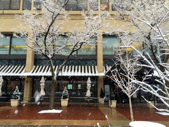 Snowy afternoon in Baltimore