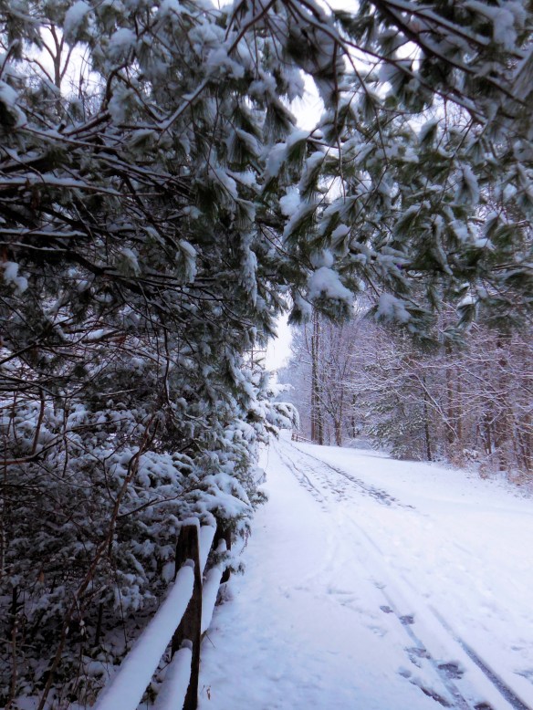 Snowy afternoon on the B&A Trail