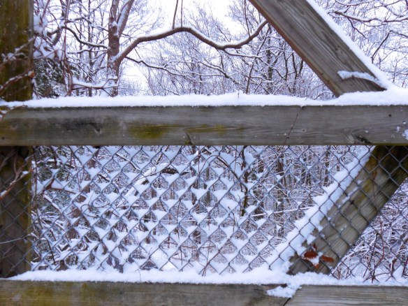 Lin and Michael's Photos