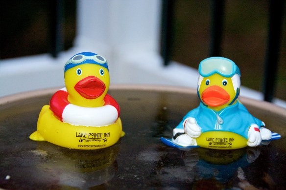 Lin and Michael's Photos