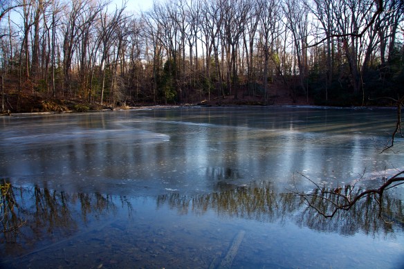 Lin and Michael's Photos