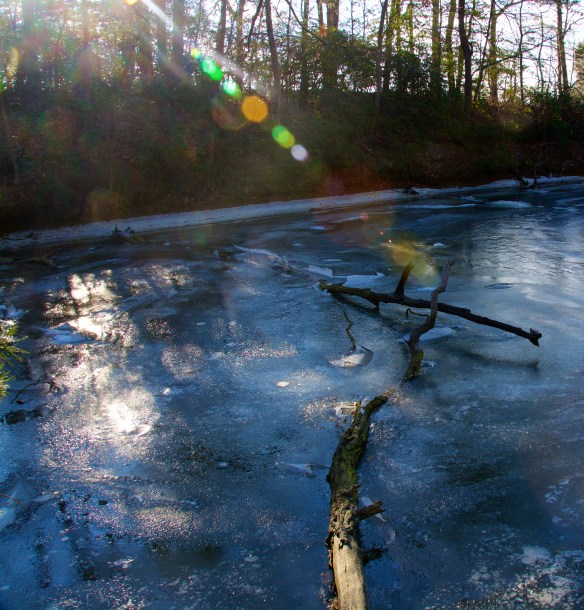 Lin and Michael's Photos