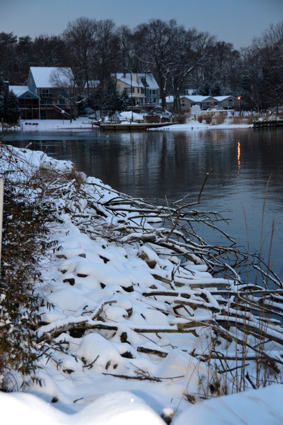 Lin and Michael's Photos