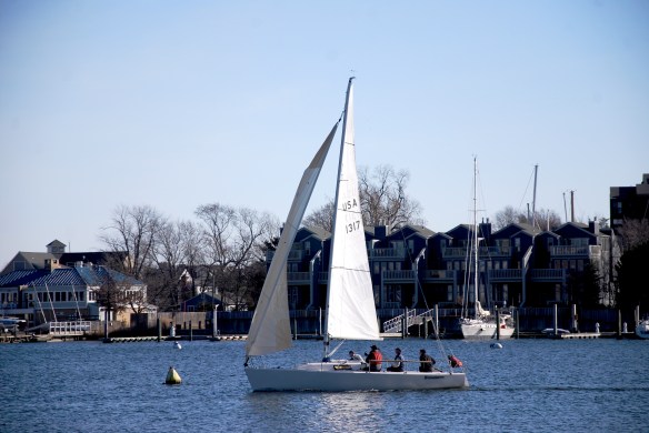 Lin and Michael's Photos