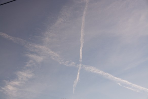 Lin and Michael's Photos