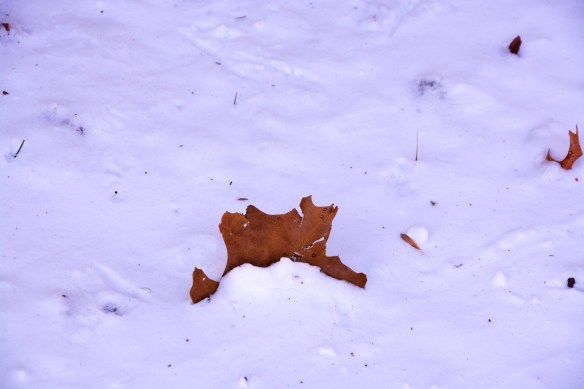 Lin and Michael's Photos