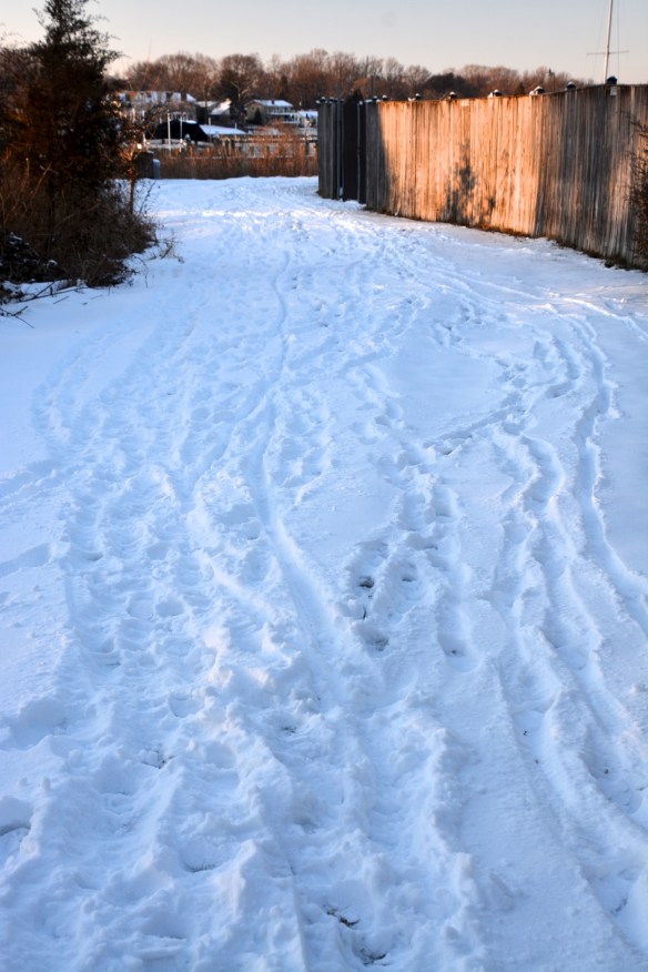 Lin and Michael's Photos