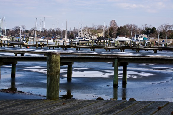 Lin and Michael's Photos