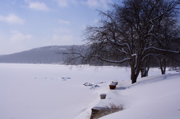 Lin and Michael's Photos