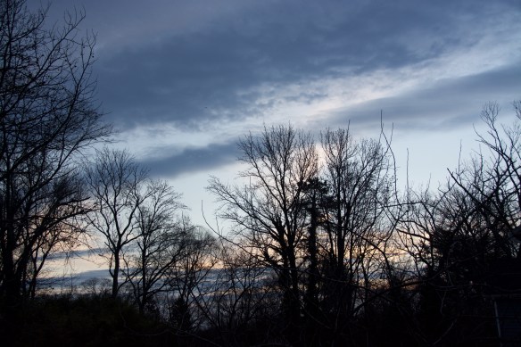 Lin and Michael's Photos