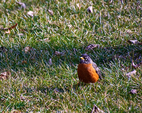 Lin and Michael's Photos