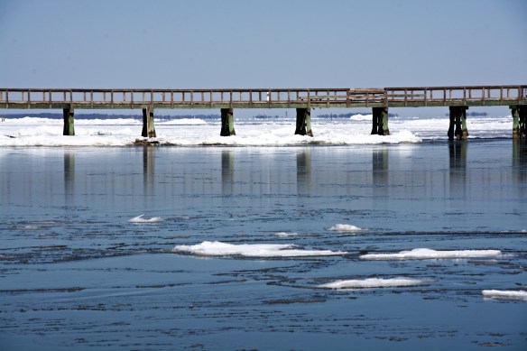 Lin and Michael's Photos