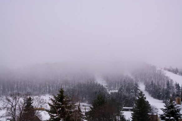 Lin and Michael's Photos