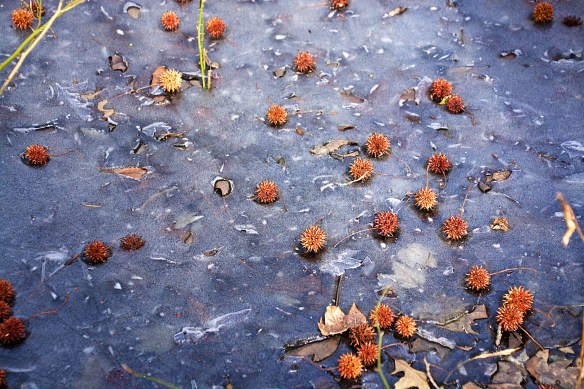 Lin and Michael's Photos