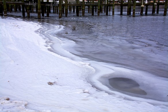 Lin and Michael's Photos