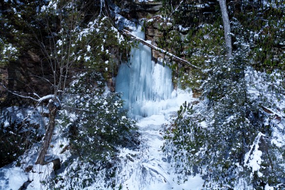 Lin and Michael's Photos