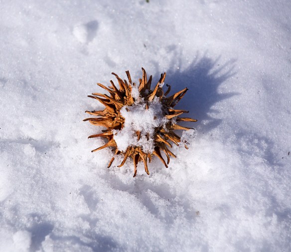 Lin and Michael's Photos