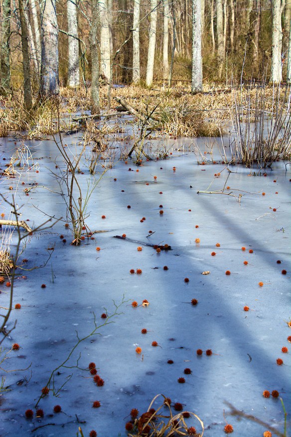 Lin and Michael's Photos