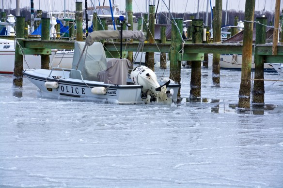 Lin and Michael's Photos