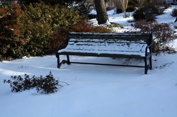 Lin and Michael's Photos