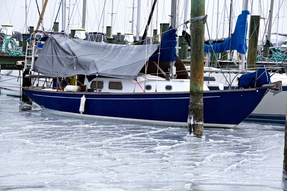 Lin and Michael's Photos