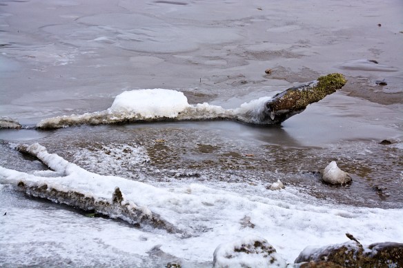 Lin and Michael's Photos