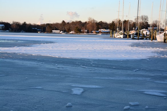 Lin and Michael's Photos