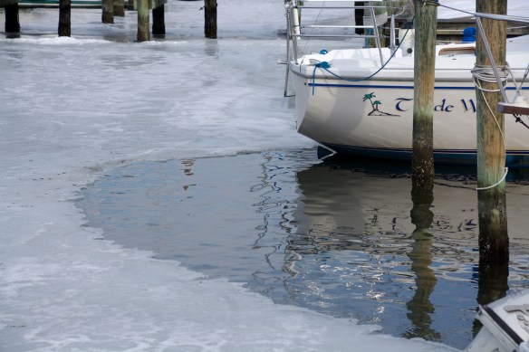 Lin and Michael's Photos