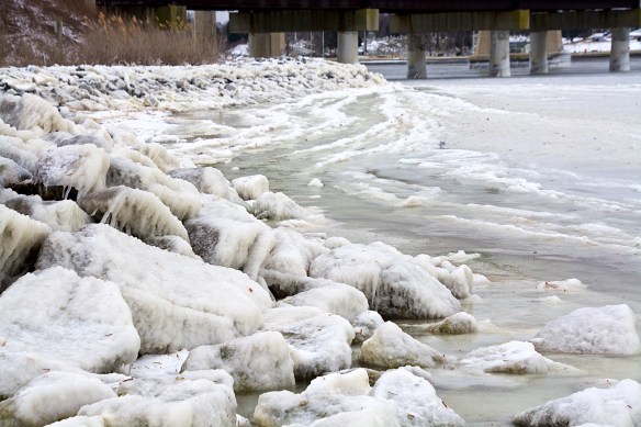 Lin and Michael's Photos