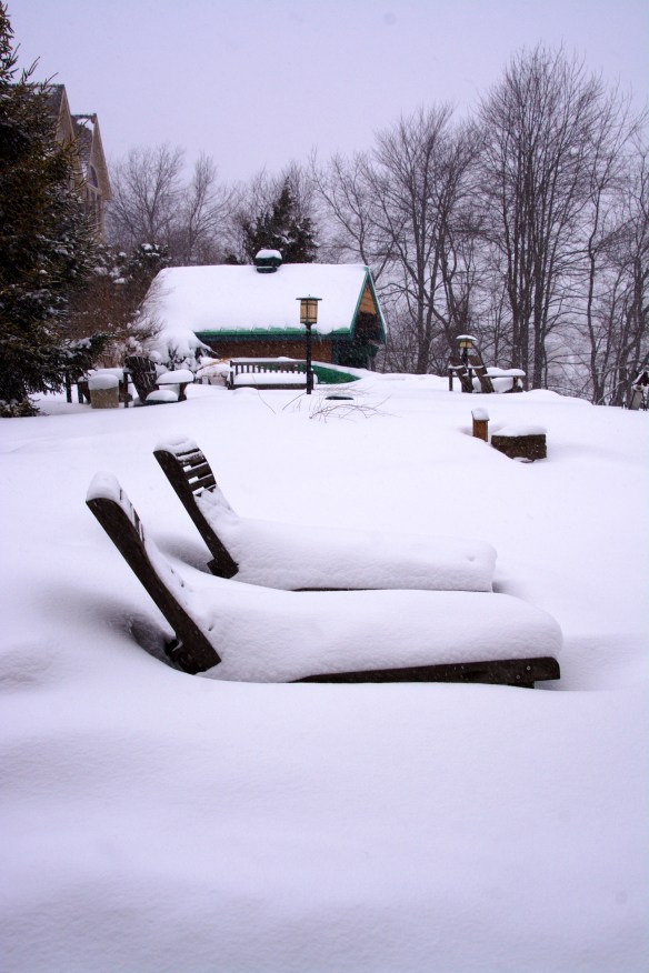 Lin and Michael's Photos