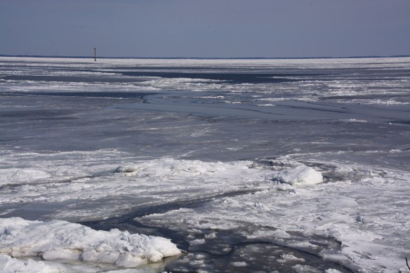 Lin and Michael's Photos