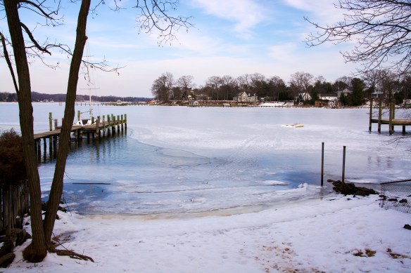 Lin and Michael's Photos