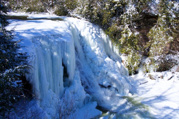 Lin and Michael's Photos