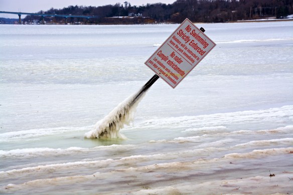 Lin and Michael's Photos