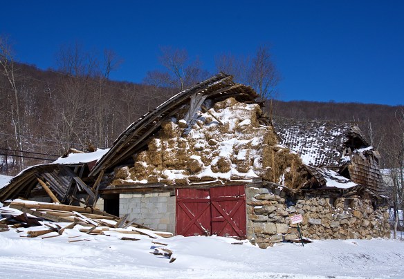 Lin and Michael's Photos