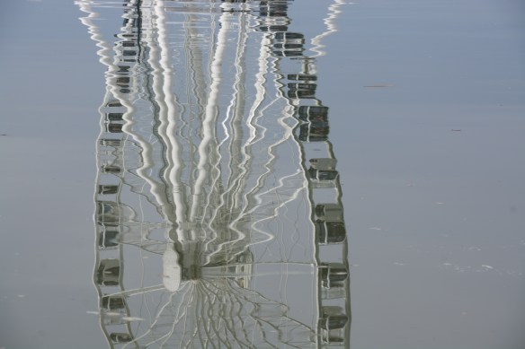 Lin and Michael's Photos