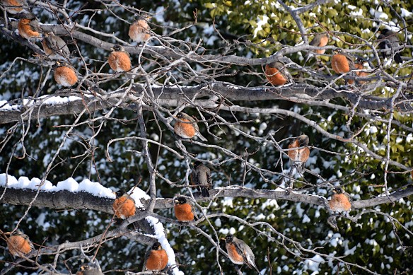 Lin and Michael's Photo